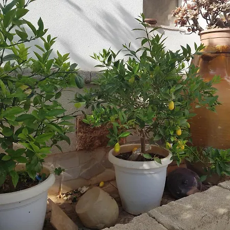 Lemon Suite-luxury 4* チェッリーノ・サン・マルコ